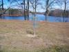 Lake Point Park