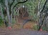 Pinto Lake Championship Disc Golf Course