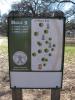 Rocklin Disc Golf Course at Johnson Springview Park