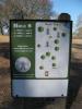 Rocklin Disc Golf Course at Johnson Springview Park