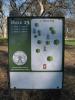 Rocklin Disc Golf Course at Johnson Springview Park