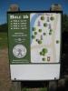 Rocklin Disc Golf Course at Johnson Springview Park