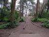 Golden Gate Park Disc Golf Course