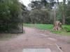 Golden Gate Park Disc Golf Course
