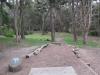 Golden Gate Park Disc Golf Course