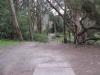 Golden Gate Park Disc Golf Course