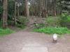 Golden Gate Park Disc Golf Course