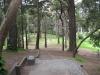 Golden Gate Park Disc Golf Course