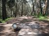 Golden Gate Park Disc Golf Course