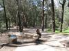 Golden Gate Park Disc Golf Course