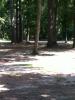 Seven Oaks Disc Golf Course