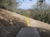 Skyline Wilderness Park
