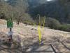Skyline Wilderness Park