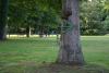 Sugaw Creek Park