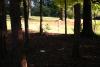 Sugaw Creek Park