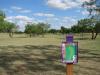 ACU Wildcat Disc Golf