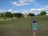 ACU Wildcat Disc Golf