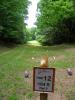  #1 Tee: Basket is located beneath trees in the distance.