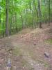 #1 Tee: Basket is located beneath trees in the distance.