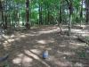  #1 Tee: Basket is located beneath trees in the distance.