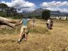 Stellies Parklands Disc Golf Course