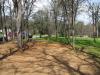 Auburn Regional Park