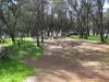 Auburn Regional Park