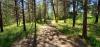 Farragut State Park - A.W.O.L.