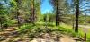 Farragut State Park - A.W.O.L.