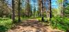 Farragut State Park - A.W.O.L.