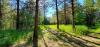 Farragut State Park - A.W.O.L.
