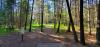 Farragut State Park - A.W.O.L.
