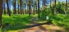 Farragut State Park - A.W.O.L.