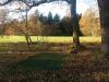Disc Golf Park Bremerhaven