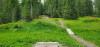Baldfoot Disc Golf Course