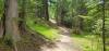 Baldfoot Disc Golf Course