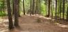 Baldfoot Disc Golf Course