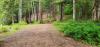 Baldfoot Disc Golf Course