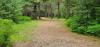 Baldfoot Disc Golf Course