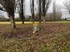 Torino Disc Golf Park