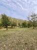 Rocky Top Preserve