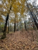 Big Iron DGC at Legion State Park