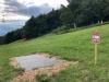 Bromley's Woods and Meadows Disc Golf
