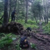 Raven's Bowl Disc Golf Course