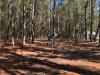 Socastee Recreation Park