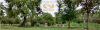 Cleburne Disc Golf