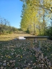 Rocky Top Preserve