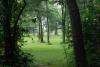 Churchville Park Disc Golf Course