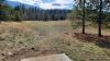 Farragut State Park - Cutthroat
