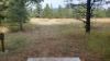 Farragut State Park - Cutthroat